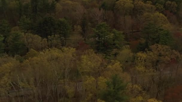 无人机镜头盘旋并穿过了亨利福特在马萨诸塞州萨德伯里建造的历史性的Grist Mill — 图库视频影像