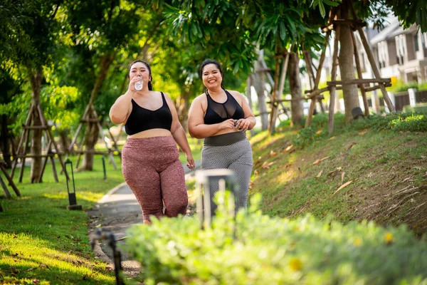 Ожирение Женщин Которые Обращаются Физическим Упражнениям Заботиться Здоровье Похудеть Газоне Стоковое Фото