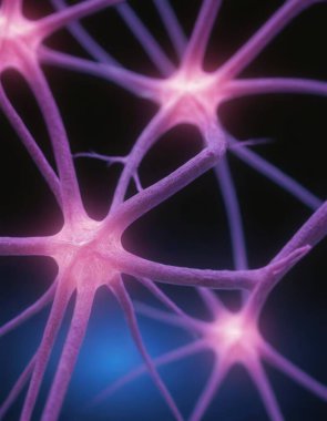 İnsan beyni anatomi modeli. 3D çizim