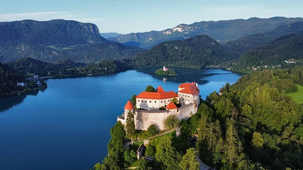 Drone Photo Bled Castle Blejski Grad Slovenia Europe — Stock Photo, Image