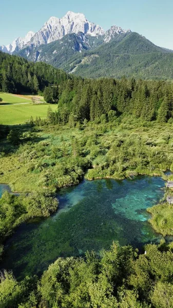 Drone Foto Zelenci Reserva Natural Slovenia Europa — Fotografia de Stock