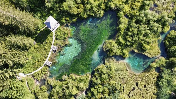 Drohne Photo Zelenci Naturreservat Slowenien Europa — Stockfoto
