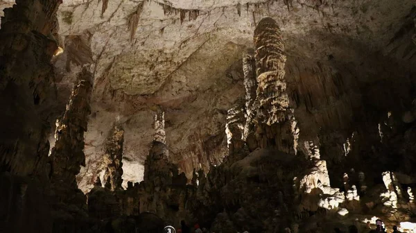 Foto Cueva Postojna Postojnska Jama Eslovenia Europe — Foto de Stock