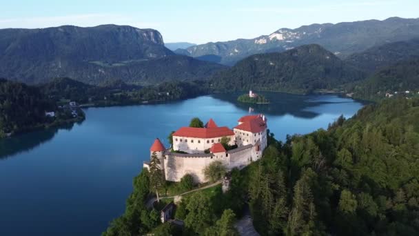 Video Gölü Kanadı Blejsko Jezero Slovenia Europe — Stok video