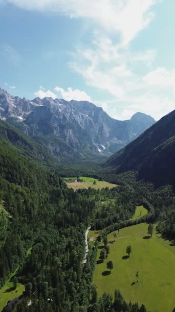 Drone Video Logarska Valley Logarska Dolina Slovinsko Evropa — Stock video