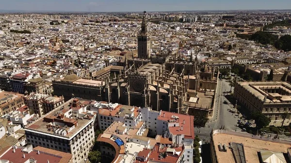 塞维利亚大教堂 Catedral Sevilla Spain Europe — 图库照片
