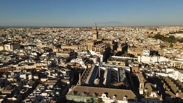 Drone Foto Catedral Sevilla Catedral Sevilla España Europa — Foto de Stock