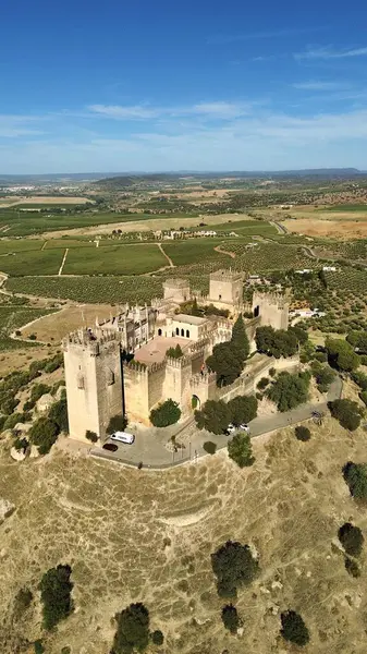 Drone Photo Almodovar Del Rio Château Castillo Almodovar Del Rio — Photo