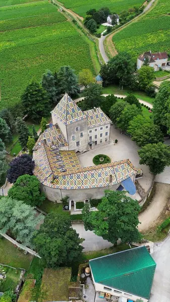 İnsansız hava aracı fotoğrafı Santenay Kalesi Fransa Avrupa