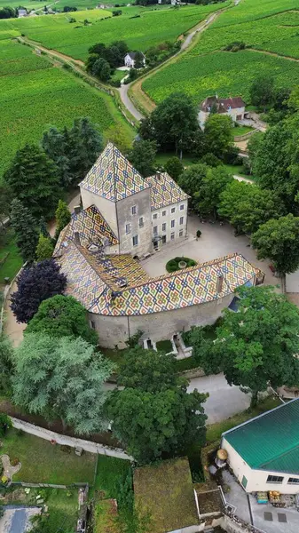İnsansız hava aracı fotoğrafı Santenay Kalesi Fransa Avrupa