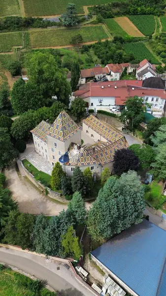 İnsansız hava aracı fotoğrafı Santenay Kalesi Fransa Avrupa