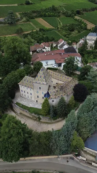 İnsansız hava aracı fotoğrafı Santenay Kalesi Fransa Avrupa