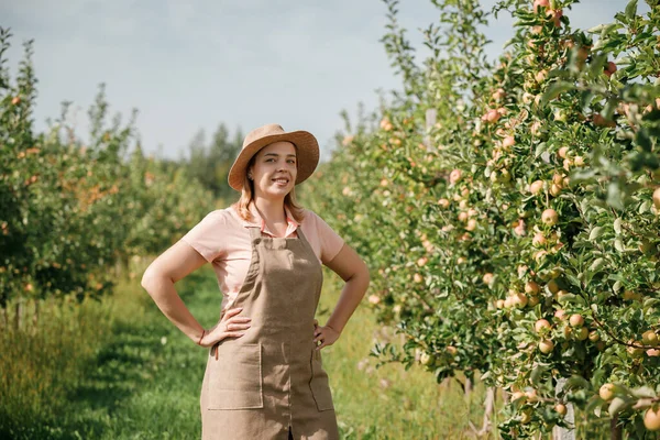 Portret Uśmiechniętej Kobiety Pracującej Roli Zbierającej Świeże Dojrzałe Jabłka Ogrodzie — Zdjęcie stockowe
