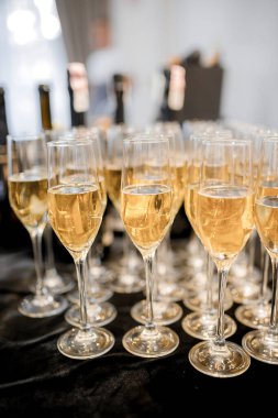 Bir sürü güzel lezzetli şampanya veya beyaz barda şarap şarap bardakları. Alkol arka plan