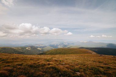 Yazın Ukrayna Karpatları 'nda dağ manzarası