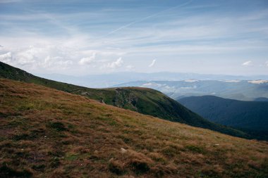 Yazın Ukrayna Karpatları 'nda dağ manzarası