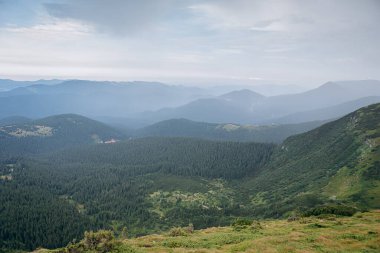 Yazın Ukrayna Karpatları 'nda dağ manzarası