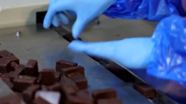 Close up of female worker hands sorts chocolate candies line production at factory