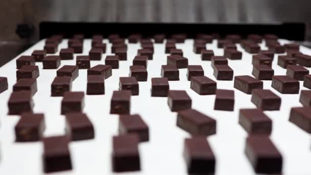 チョコレートキャンディの生産 工場でのコンベアベルト上のスイーツ — ストック動画