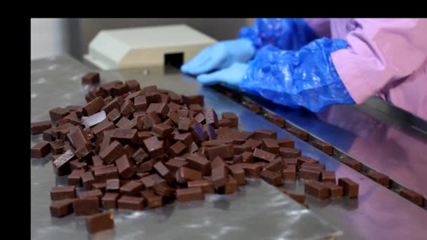 Close Female Worker Hands Sorts Chocolate Candies Line Production Factory — Stock Video