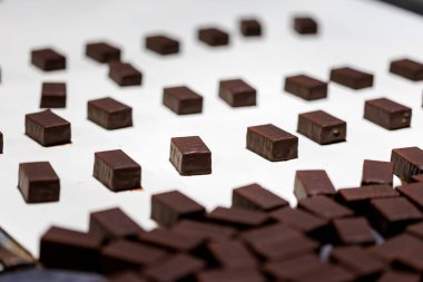 Production of chocolate candy. Sweets on conveyor belt at factory 