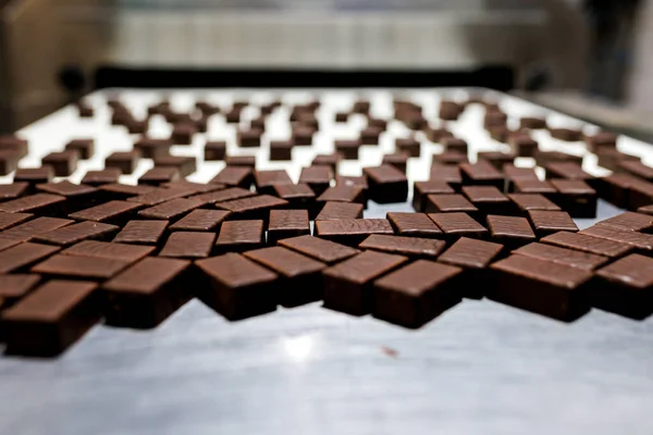 Production of chocolate candy. Sweets on conveyor belt at factory
