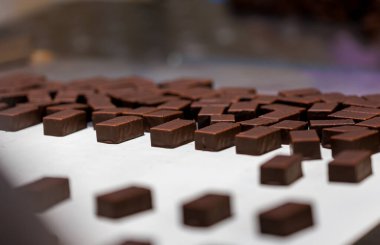 Production of chocolate candy. Sweets on conveyor belt at factory