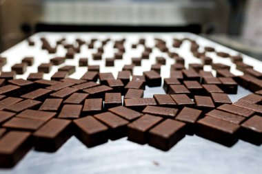 Production of chocolate candy. Sweets on conveyor belt at factory