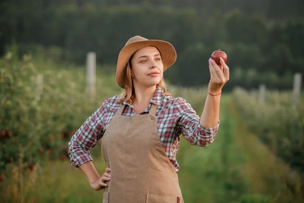 Χαρούμενη Χαμογελαστή Αγρότισσα Που Μαζεύει Φρέσκα Ώριμα Μήλα Στον Κήπο — Φωτογραφία Αρχείου