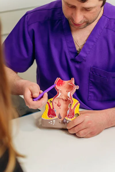 診察終了時に病院で患者に直腸の人工モデルを示す男性医師 — ストック写真