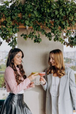 Barda ya da restoranda bardakla kadeh tokuşturan iki bayan arkadaş. Yüksek kalite fotoğraf