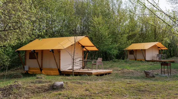 Yaz kampında içinde ışık olan rahat glamping çadırları. Yaz tatili ve tatil için kamp çadırı