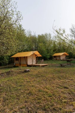 Yaz kampında içinde ışık olan rahat glamping çadırları. Yaz tatili ve tatil için kamp çadırı