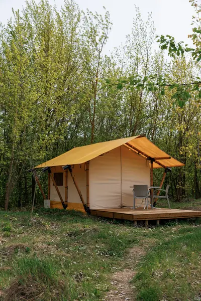 Yaz kampında içinde ışık olan rahat glamping çadırları. Yaz tatili ve tatil için kamp çadırı