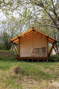 Yaz kampında içinde ışık olan rahat glamping çadırları. Yaz tatili ve tatil için kamp çadırı