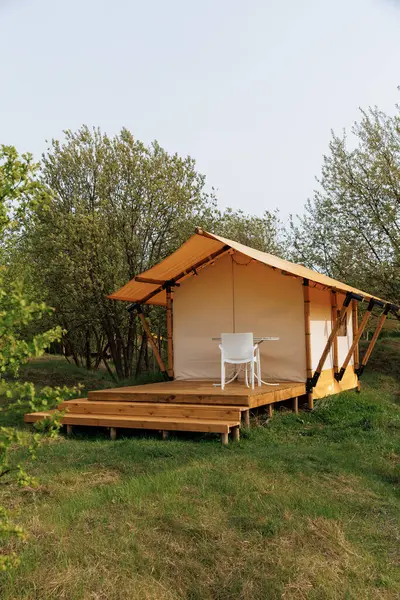 Yaz kampında içinde ışık olan rahat glamping çadırları. Yaz tatili ve tatil için kamp çadırı