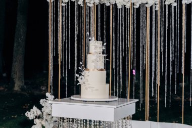 Çiçek aksanlı, minimalist üç kademeli beyaz bir pasta ile zarif bir düğün hazırlığı. Gece gökyüzünün altında, yemyeşil beyaz çiçeklerle çevrili. Lüks etkinlikler ve zarif kutlamalar.