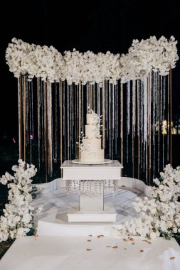 Çiçek aksanlı, minimalist üç kademeli beyaz bir pasta ile zarif bir düğün hazırlığı. Gece gökyüzünün altında, yemyeşil beyaz çiçeklerle çevrili. Lüks etkinlikler ve zarif kutlamalar.