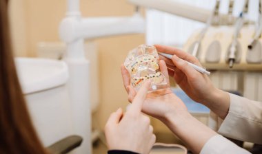 Diş teli yerleştirme ve oral bakım rehberliğini gösteren bir diş modeliyle ortodontik konsültasyon. Yüksek kalite fotoğraf