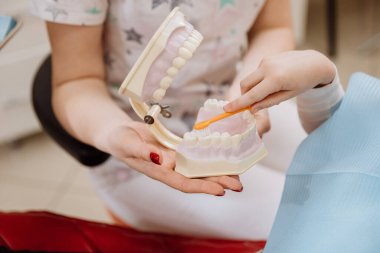 Hands on dental hygiene lesson with teeth model and toothbrush for proper oral care techniques. High quality photo clipart