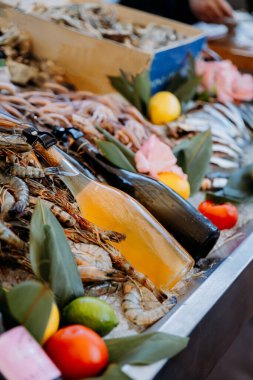 Gurme şöleni için buzlu taze deniz ürünleri, soğuk şişeler, turunçgiller ve canlı domatesler. Yüksek kalite fotoğraf