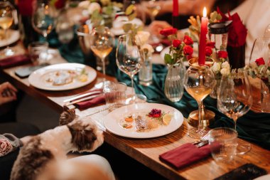 Köpek zarif yemek masasında elinde mum ve şarapla gurme balık tabağına bakıyor. Yüksek kalite fotoğraf
