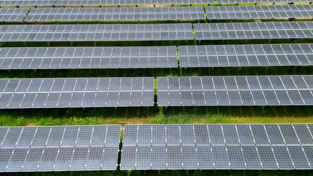 Top Aerial View Solar Cell Panels Solar Farm Solar Plant — Stock Video