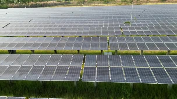 Widok Góry Paneli Ogniw Słonecznych Farmę Słoneczną Lub Elektrownię Słoneczną — Wideo stockowe