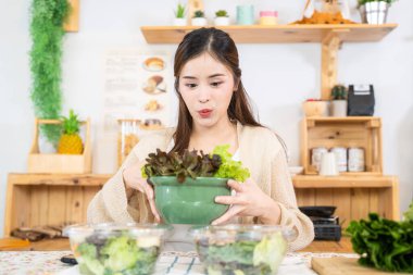 Genç Asyalı kadın salata sebzesiyle sağlıklı yiyecekler yiyor. Güzel bir iç mutfakta kilerde oturan bir kadın. Yerel ürünlerden ve malzemelerden alınan temiz diyet gıdaları taze pazardır..