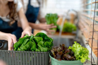 Ellerinizi kapayın ve sağlıklı yiyecekleri sebzelerle hazırlayın. Yerel ürünlerden ve malzemelerden elde edilen temiz diyet gıdaları taze taze pazardır..