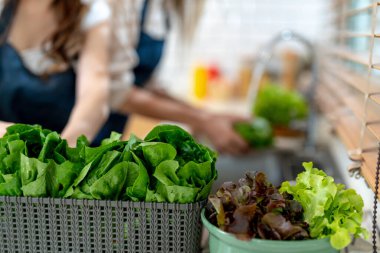 Ellerinizi kapayın ve sağlıklı yiyecekleri sebzelerle hazırlayın. Yerel ürünlerden ve malzemelerden elde edilen temiz diyet gıdaları taze taze pazardır..