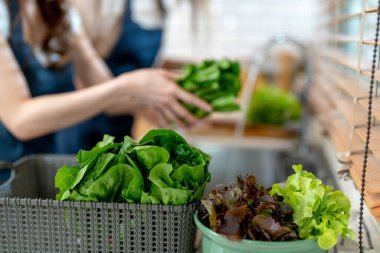Ellerinizi kapayın ve sağlıklı yiyecekleri sebzelerle hazırlayın. Yerel ürünlerden ve malzemelerden elde edilen temiz diyet gıdaları taze taze pazardır..