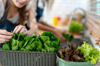 Ellerinizi kapayın ve sağlıklı yiyecekleri sebzelerle hazırlayın. Yerel ürünlerden ve malzemelerden elde edilen temiz diyet gıdaları taze taze pazardır..