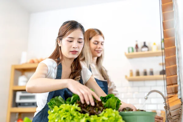 Genç kadınlar salata sebzeli sağlıklı yemek hazırlıyorlar. Bir kadın güzel bir iç mutfakta kilerde dikiliyor. Yerel ürünlerden ve malzemelerden alınan temiz diyet gıdaları taze pazardır..